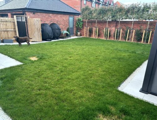 Landscaping Job 341